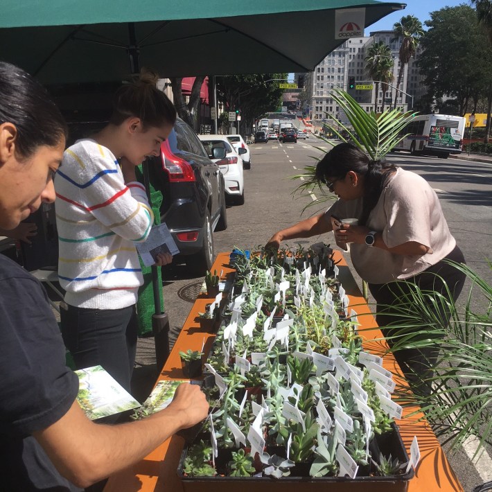Pershing Square Renew, Jose Huizar, and Agence TER + Team celebrate #PARKingDAY, with both a party and outreach for their plan to transform the Pershing Square transit stop.
