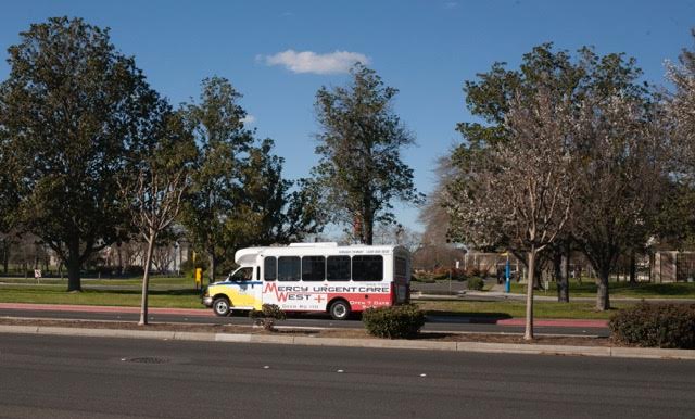 A Turlock Transit bus drives by the entrance of the California State University, Stanislaus. Photo by Minerva Perez