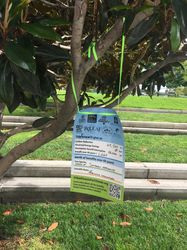 Local trees announce their many benefits to passersby near the summit