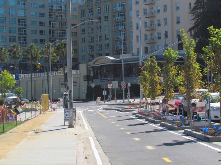 Trees will shade and protect the bike lane.