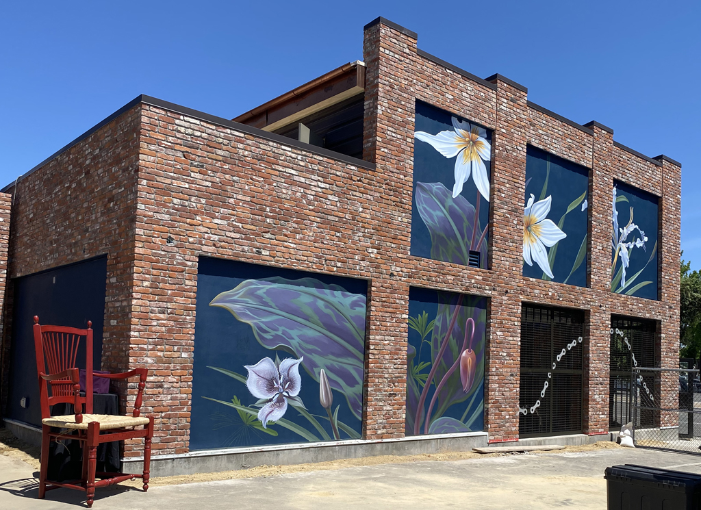 Mona Caron's mural of local native plants can be enjoyed from the new housing being built a block away. Photo: Melanie Curry/Streetsblog