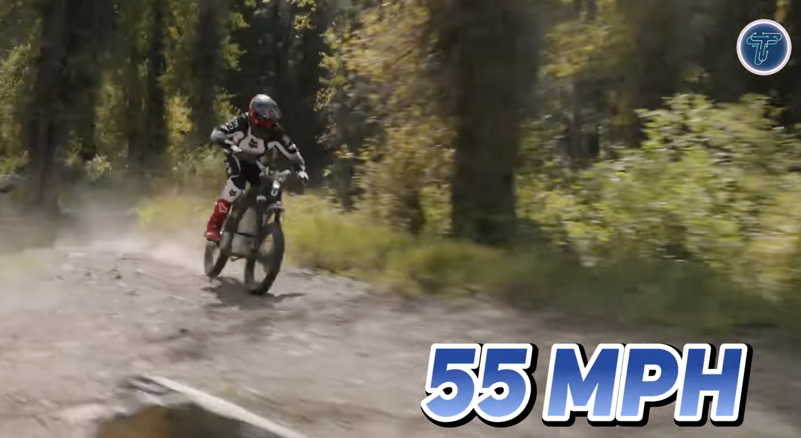 Papan Wants to Draw a Legal Line Between E-Bikes and Electric Motorbikes - Streetsblog California